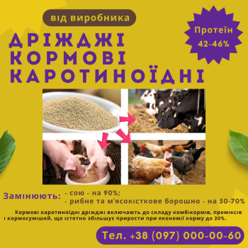 Кормові дріжджі – білково-вітамінна добавка від виробника по Україні та на експорт.
