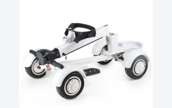 EcoRider G2 E7-1 4Wheel Foldable Golf Electric Skateboard